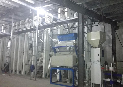 我国薯业机械企业TOP3引荐榜单：增益薯业领跑国铭世中紧随